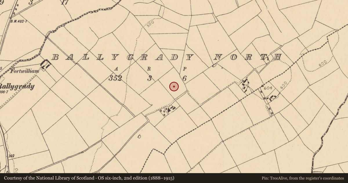 Ordnance Survey six-inch map, 2nd edition (1888–1915) covering the location of Fulacht fia, Ballygrady North, County Cork, with a pin at the register's coordinates