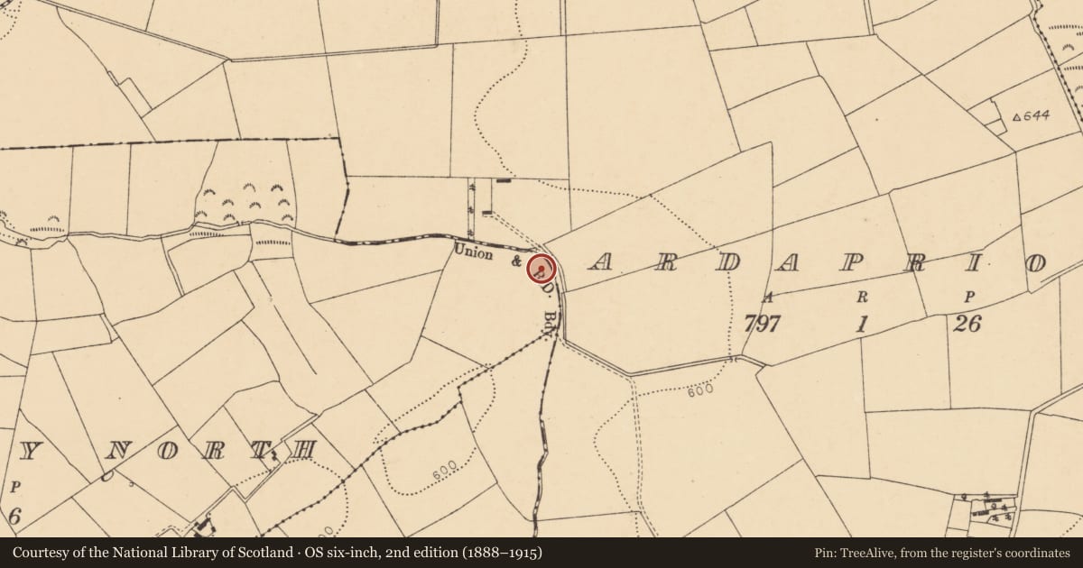Ordnance Survey six-inch map, 2nd edition (1888–1915) covering the location of Fulacht fia, Ballygrady North, County Cork, with a pin at the register's coordinates