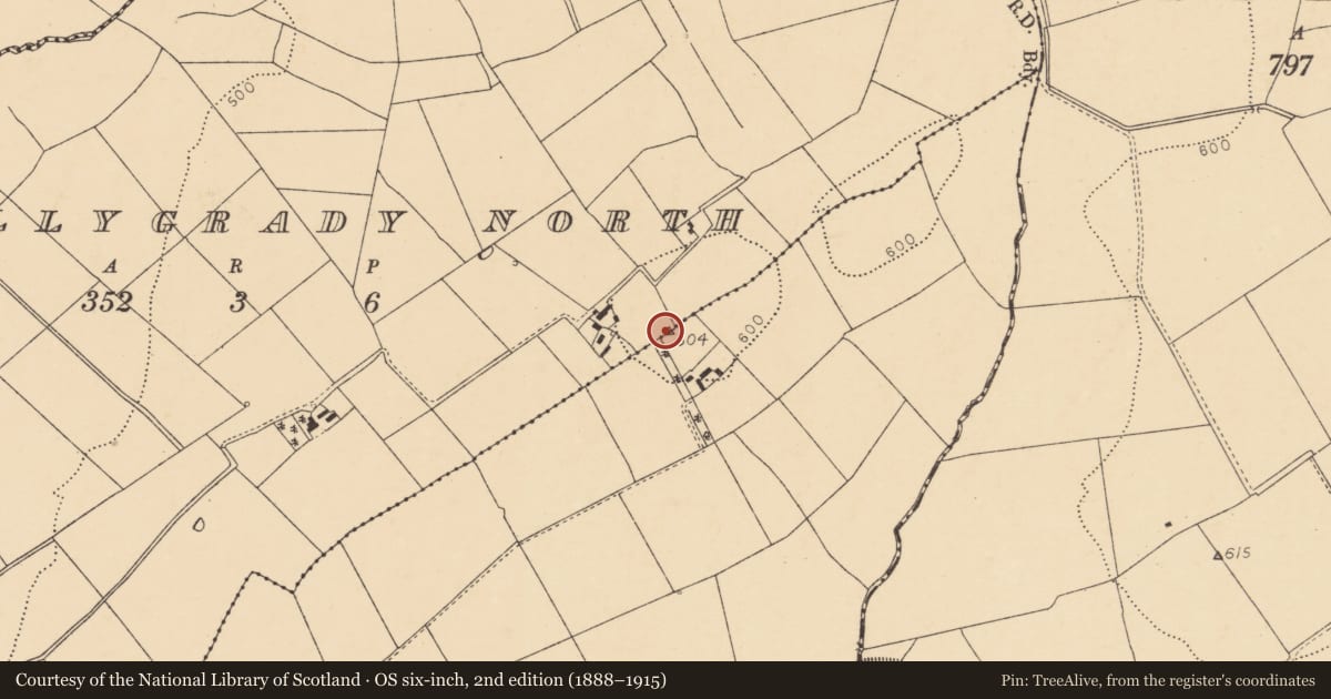 Ordnance Survey six-inch map, 2nd edition (1888–1915) covering the location of Standing stone, Ballygrady South, County Cork, with a pin at the register's coordinates
