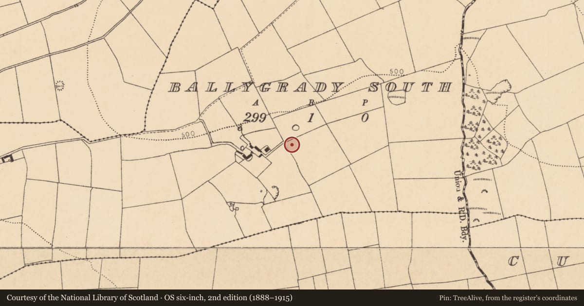 Ordnance Survey six-inch map, 2nd edition (1888–1915) covering the location of Souterrain, Ballygrady South, County Cork, with a pin at the register's coordinates