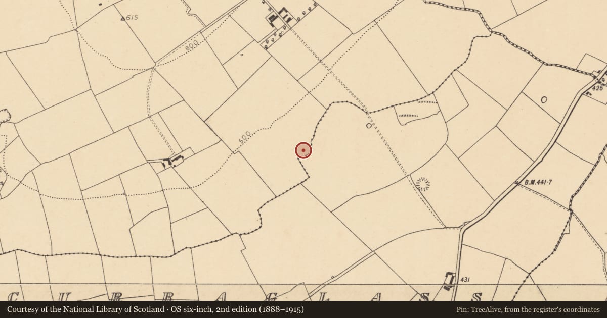 Ordnance Survey six-inch map, 2nd edition (1888–1915) covering the location of Enclosure, Ardaprior, County Cork, with a pin at the register's coordinates