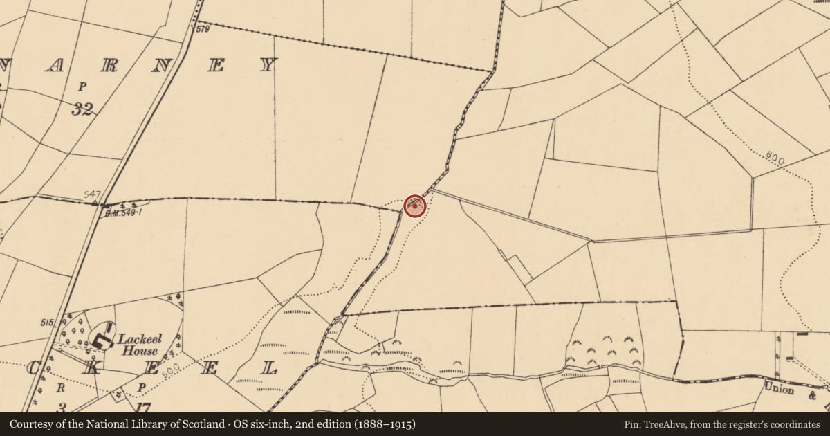 Ordnance Survey six-inch map, 2nd edition (1888–1915) covering the location of Fulacht fia, Ardaprior, County Cork, with a pin at the register's coordinates