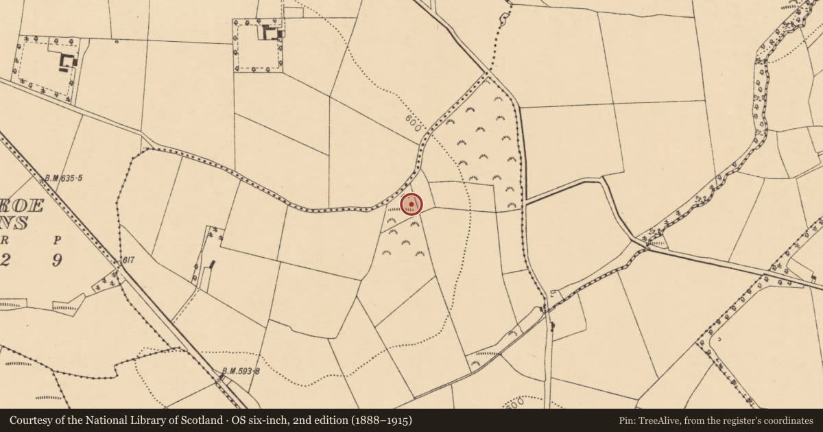 Ordnance Survey six-inch map, 2nd edition (1888–1915) covering the location of Ringfort - rath, Templemary, County Cork, with a pin at the register's coordinates