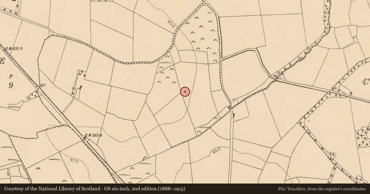 Ordnance Survey six-inch map, 2nd edition (1888–1915) covering the location of Fulacht fia, Templemary, County Cork, with a pin at the register's coordinates