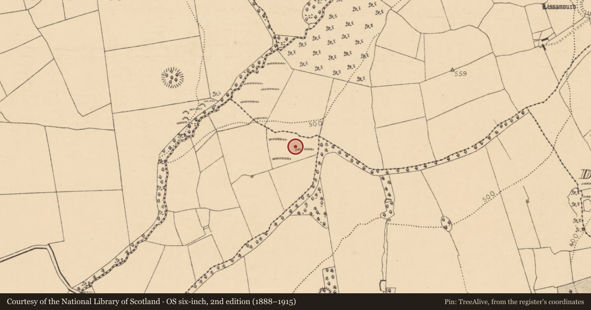 Ordnance Survey six-inch map, 2nd edition (1888–1915) covering the location of Ringfort - rath, Templemary, County Cork, with a pin at the register's coordinates