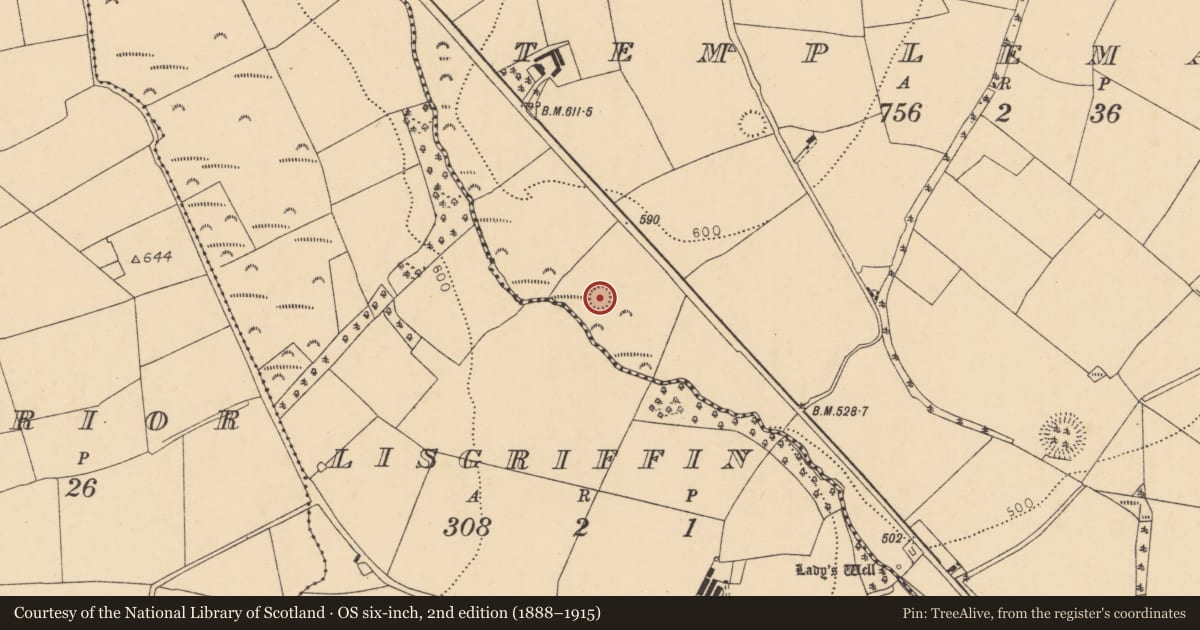 Ordnance Survey six-inch map, 2nd edition (1888–1915) covering the location of Ringfort - rath, Templemary, County Cork, with a pin at the register's coordinates