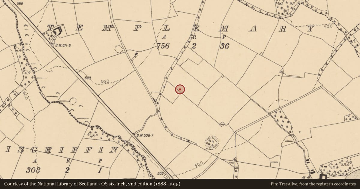 Ordnance Survey six-inch map, 2nd edition (1888–1915) covering the location of Fulacht fia, Templemary, County Cork, with a pin at the register's coordinates