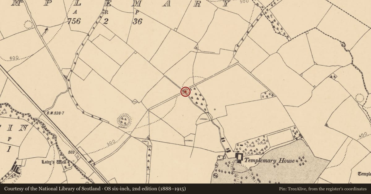 Ordnance Survey six-inch map, 2nd edition (1888–1915) covering the location of Ringfort - rath, Templemary, County Cork, with a pin at the register's coordinates
