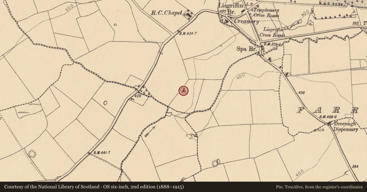 Ordnance Survey six-inch map, 2nd edition (1888–1915) covering the location of Ringfort - rath, Lisgriffin, County Cork, with a pin at the register's coordinates