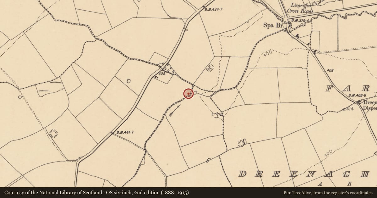 Ordnance Survey six-inch map, 2nd edition (1888–1915) covering the location of Ringfort - rath, Curraglass, County Cork, with a pin at the register's coordinates
