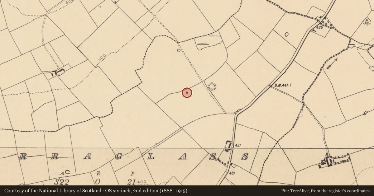 Ordnance Survey six-inch map, 2nd edition (1888–1915) covering the location of Fulacht fia, Curraglass, County Cork, with a pin at the register's coordinates