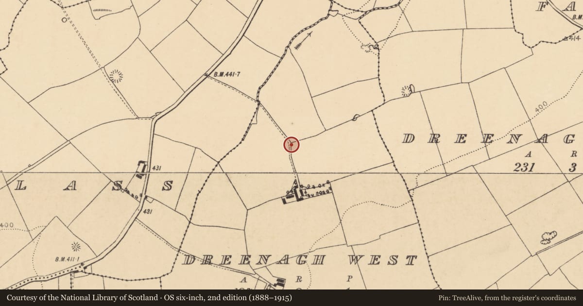 Ordnance Survey six-inch map, 2nd edition (1888–1915) covering the location of Enclosure, Dreenagh West, County Cork, with a pin at the register's coordinates