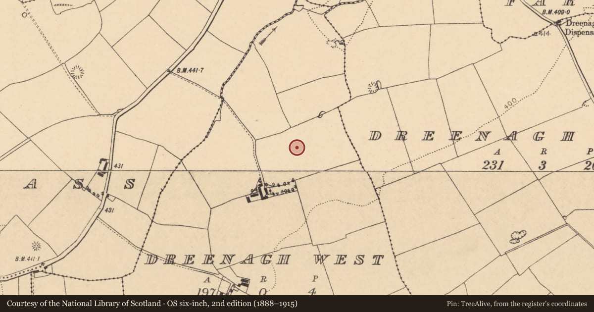 Ordnance Survey six-inch map, 2nd edition (1888–1915) covering the location of Fulacht fia, Dreenagh West, County Cork, with a pin at the register's coordinates