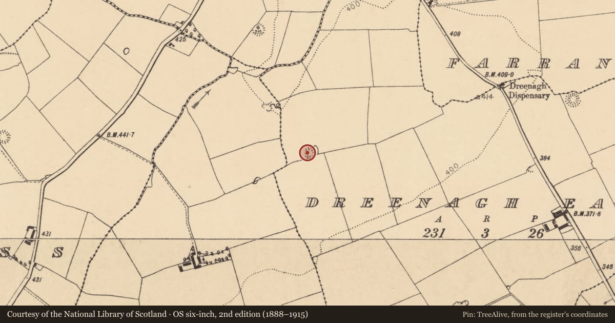 Ordnance Survey six-inch map, 2nd edition (1888–1915) covering the location of Ringfort - rath, Dreenagh East, County Cork, with a pin at the register's coordinates