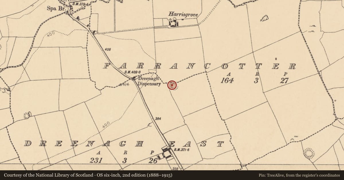 Ordnance Survey six-inch map, 2nd edition (1888–1915) covering the location of Ringfort - rath, Dreenagh East, County Cork, with a pin at the register's coordinates
