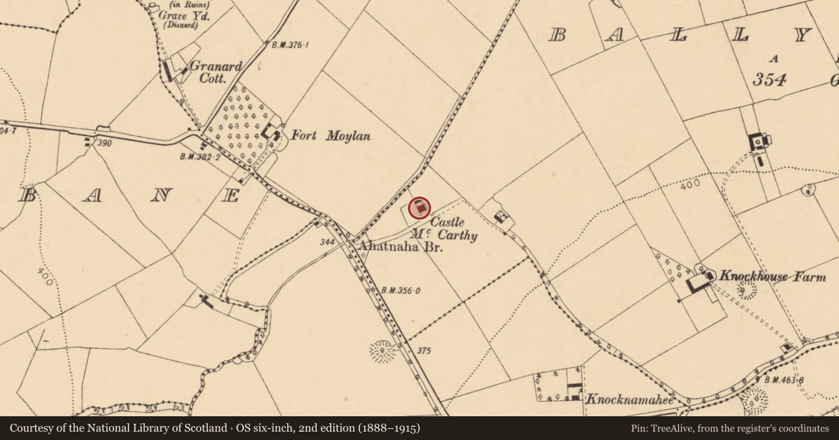 Ordnance Survey six-inch map, 2nd edition (1888–1915) covering the location of Country house, Ballynaboul, County Cork, with a pin at the register's coordinates