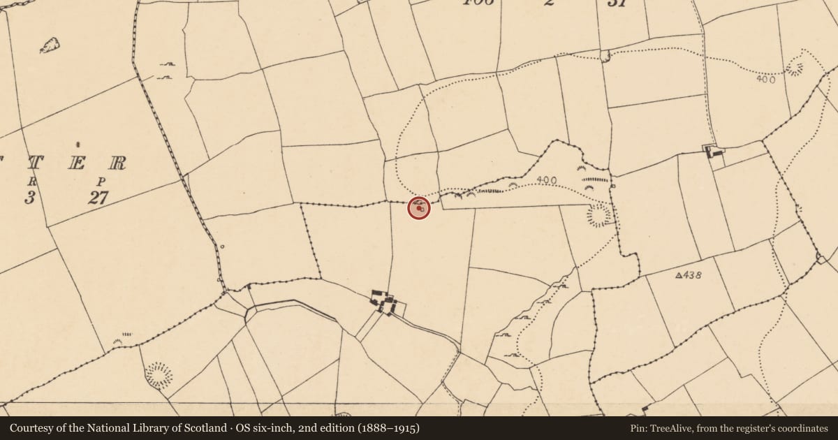 Ordnance Survey six-inch map, 2nd edition (1888–1915) covering the location of Kiln - lime, Boherascrub West, County Cork, with a pin at the register's coordinates