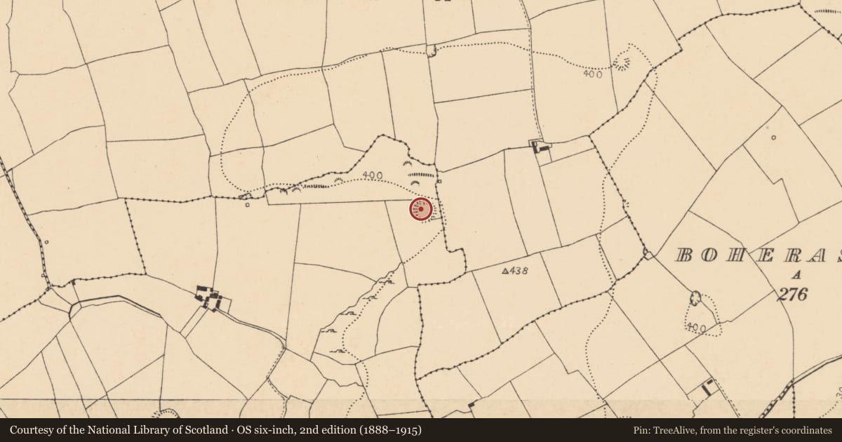 Ordnance Survey six-inch map, 2nd edition (1888–1915) covering the location of Ringfort - rath, Boherascrub West, County Cork, with a pin at the register's coordinates
