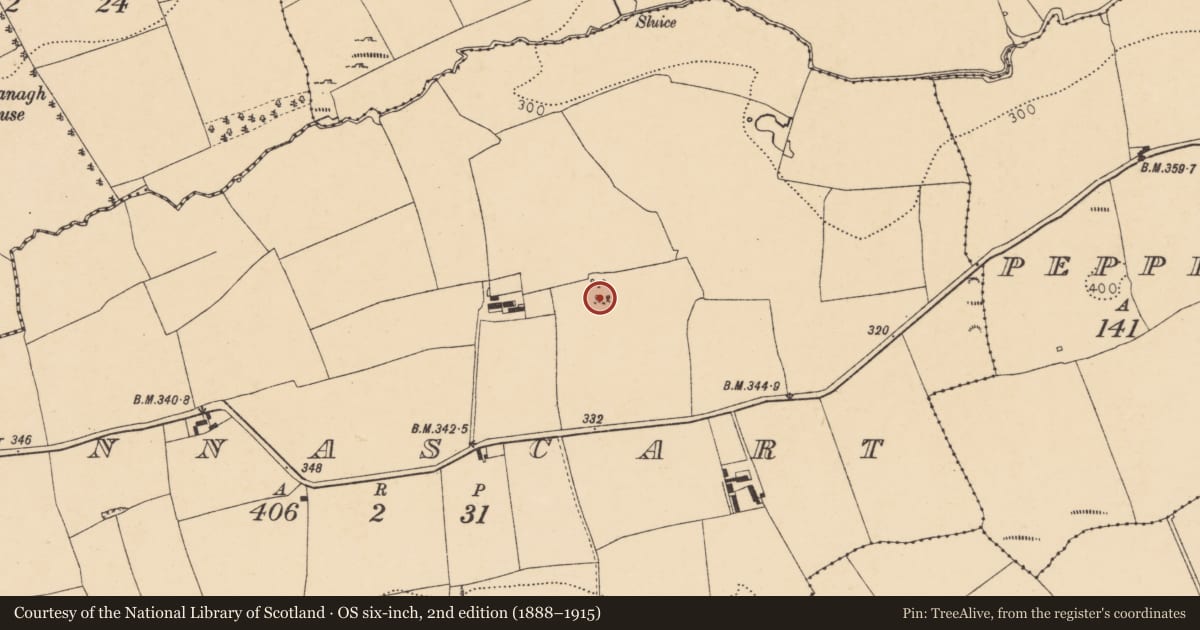 Ordnance Survey six-inch map, 2nd edition (1888–1915) covering the location of Ringfort - rath, Tinnascart, County Cork, with a pin at the register's coordinates