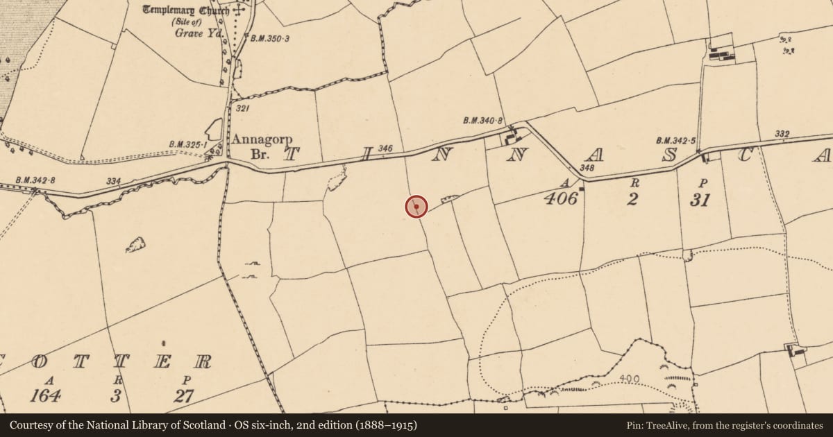 Ordnance Survey six-inch map, 2nd edition (1888–1915) covering the location of Ringfort - rath, Tinnascart, County Cork, with a pin at the register's coordinates