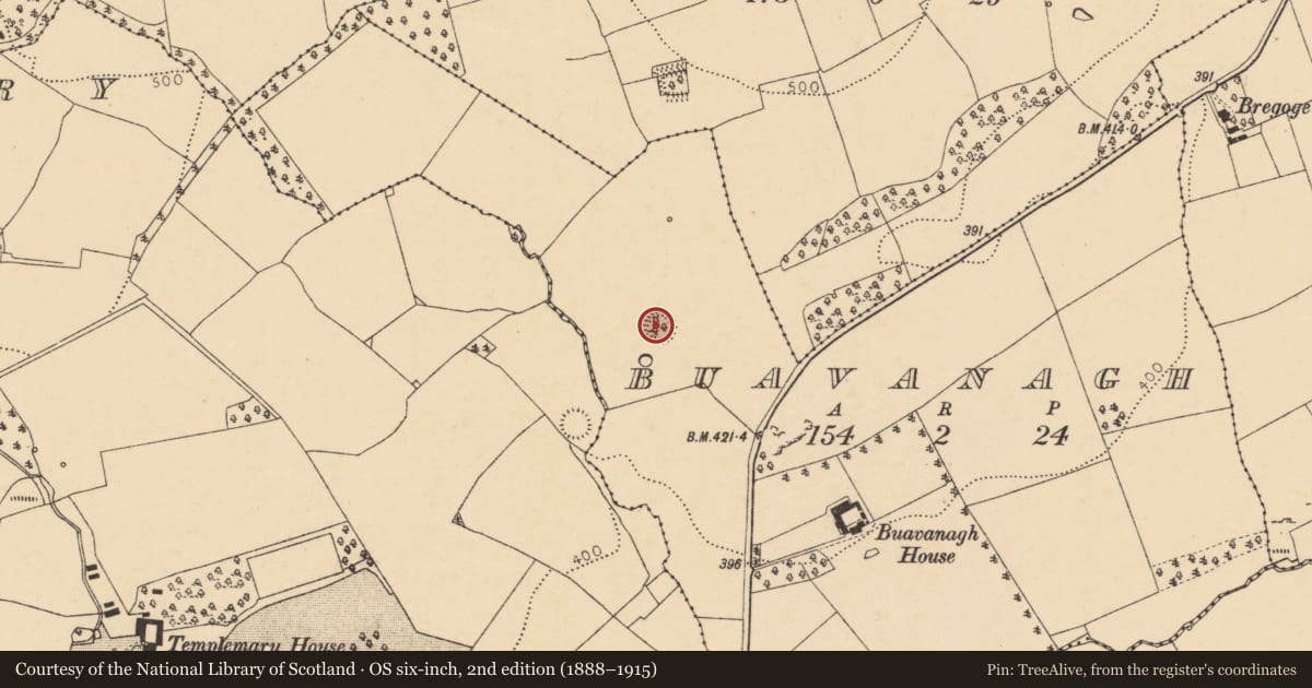 Ordnance Survey six-inch map, 2nd edition (1888–1915) covering the location of Ringfort - rath, Buavanagh, County Cork, with a pin at the register's coordinates