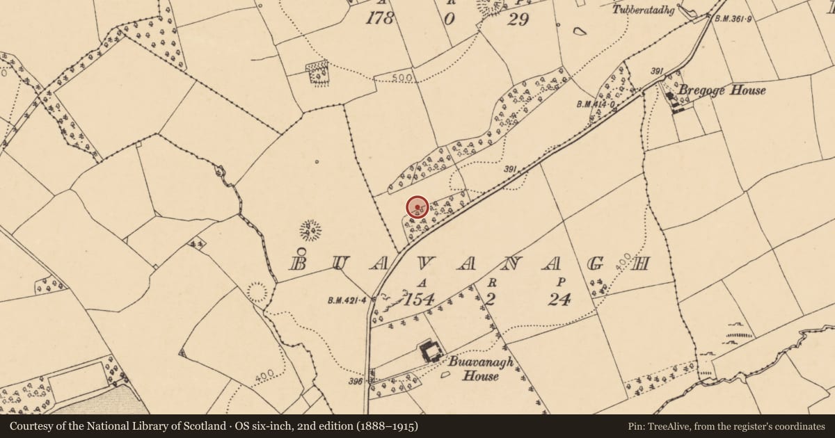 Ordnance Survey six-inch map, 2nd edition (1888–1915) covering the location of Kiln - lime, Tullig, County Cork, with a pin at the register's coordinates