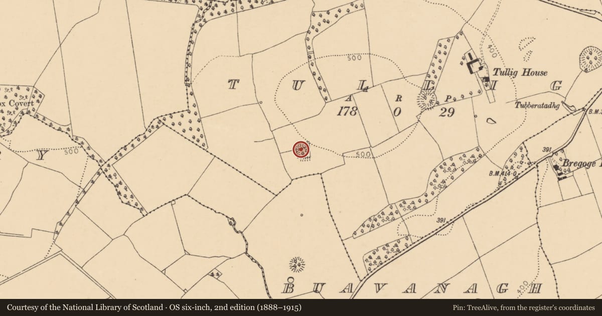 Ordnance Survey six-inch map, 2nd edition (1888–1915) covering the location of Moated site, Tullig, County Cork, with a pin at the register's coordinates