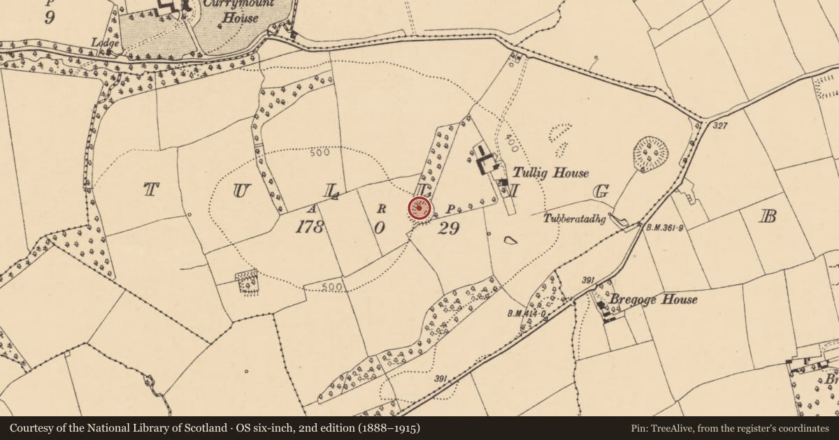 Ordnance Survey six-inch map, 2nd edition (1888–1915) covering the location of Ringfort - rath, Tullig, County Cork, with a pin at the register's coordinates