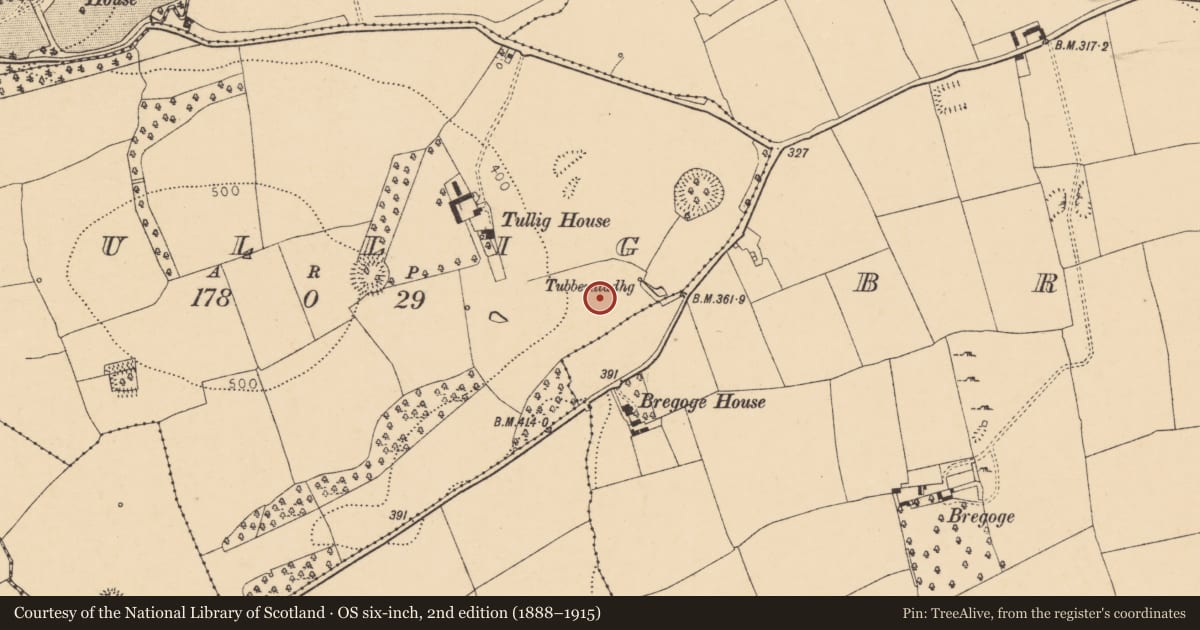 Ordnance Survey six-inch map, 2nd edition (1888–1915) covering the location of Graveyard, Tullig, County Cork, with a pin at the register's coordinates
