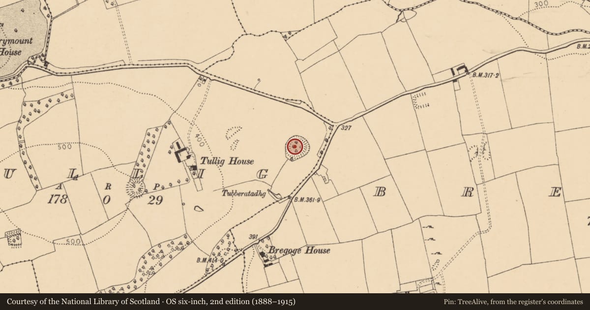 Ordnance Survey six-inch map, 2nd edition (1888–1915) covering the location of Ringfort - rath, Tullig, County Cork, with a pin at the register's coordinates