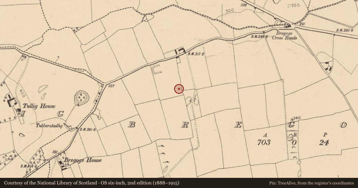 Ordnance Survey six-inch map, 2nd edition (1888–1915) covering the location of Moated site, Bregoge, County Cork, with a pin at the register's coordinates