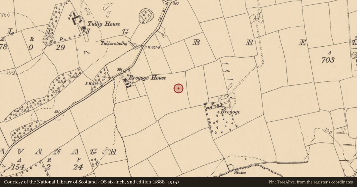 Ordnance Survey six-inch map, 2nd edition (1888–1915) covering the location of Standing stone, Bregoge, County Cork, with a pin at the register's coordinates