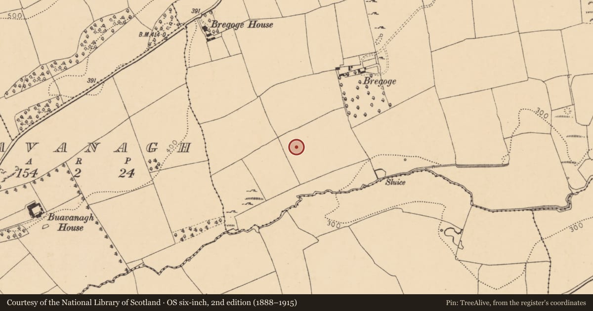 Ordnance Survey six-inch map, 2nd edition (1888–1915) covering the location of Ringfort - rath, Bregoge, County Cork, with a pin at the register's coordinates