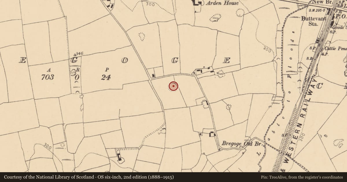 Ordnance Survey six-inch map, 2nd edition (1888–1915) covering the location of Ringfort - rath, Bregoge, County Cork, with a pin at the register's coordinates