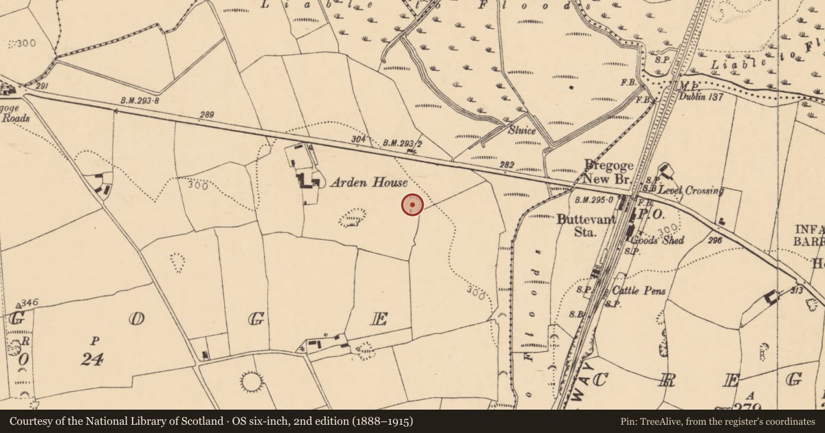 Ordnance Survey six-inch map, 2nd edition (1888–1915) covering the location of Ringfort - rath, Bregoge, County Cork, with a pin at the register's coordinates