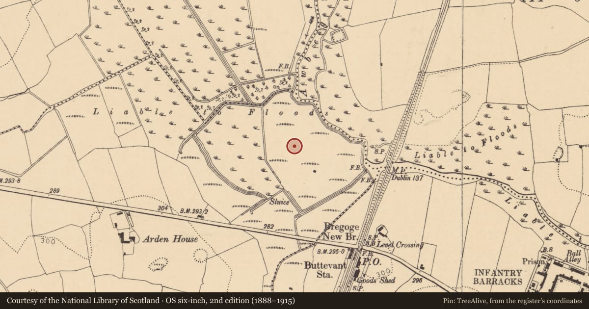 Ordnance Survey six-inch map, 2nd edition (1888–1915) covering the location of Enclosure, Bregoge, County Cork, with a pin at the register's coordinates