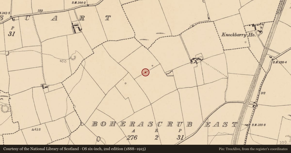 Ordnance Survey six-inch map, 2nd edition (1888–1915) covering the location of Standing stone, Boherascrub East, County Cork, with a pin at the register's coordinates