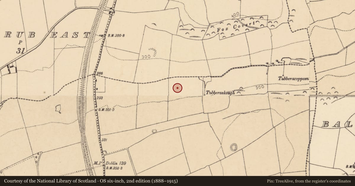 Ordnance Survey six-inch map, 2nd edition (1888–1915) covering the location of Ringfort - rath, Grange East, County Cork, with a pin at the register's coordinates