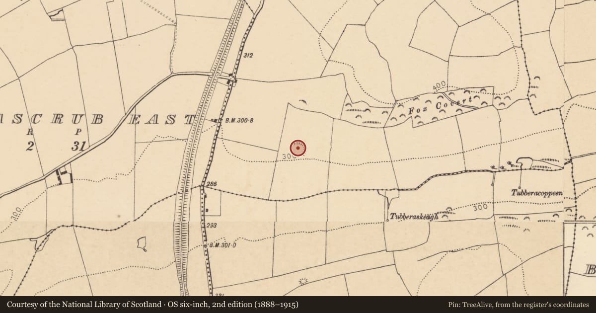 Ordnance Survey six-inch map, 2nd edition (1888–1915) covering the location of Earthwork, Knockbarry (Orrery and Kilmore By., Buttevant Par.), County Cork, with a pin at the register's coordinates
