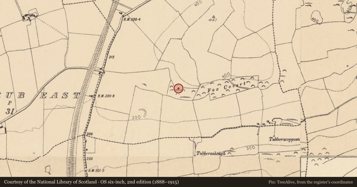 Ordnance Survey six-inch map, 2nd edition (1888–1915) covering the location of Ringfort - rath, Knockbarry (Orrery and Kilmore By., Buttevant Par.), County Cork, with a pin at the register's coordinates