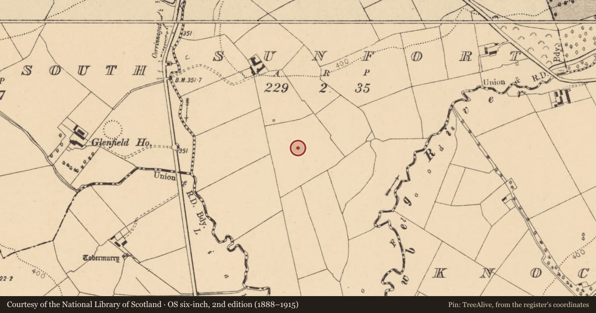 Ordnance Survey six-inch map, 2nd edition (1888–1915) covering the location of Ringfort - rath, Sunfort, County Cork, with a pin at the register's coordinates