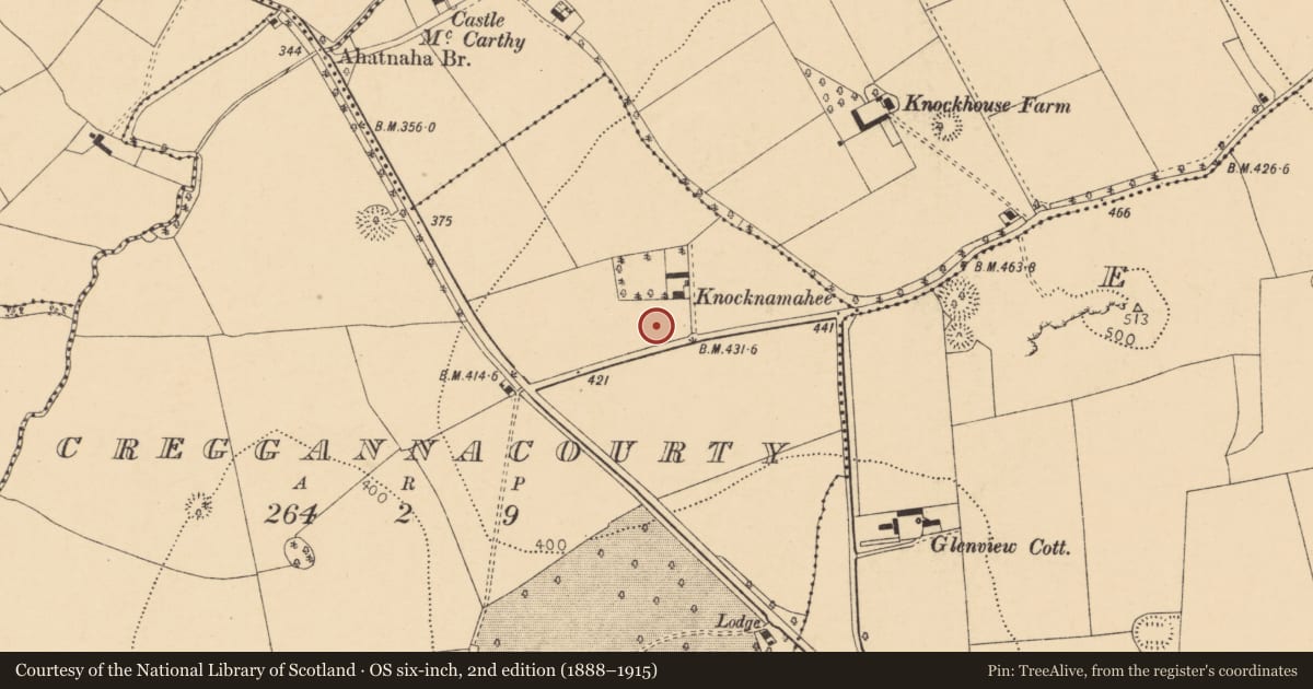 Ordnance Survey six-inch map, 2nd edition (1888–1915) covering the location of Designed landscape - tree-ring, Creggannacourty, County Cork, with a pin at the register's coordinates