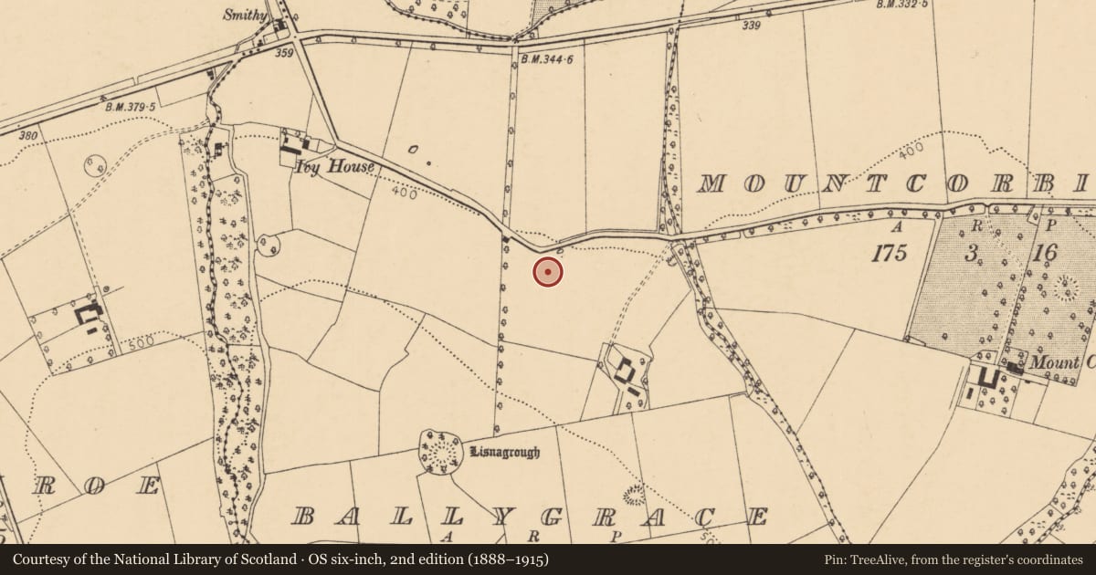 Ordnance Survey six-inch map, 2nd edition (1888–1915) covering the location of Fulacht fia, Ballygrace, County Cork, with a pin at the register's coordinates