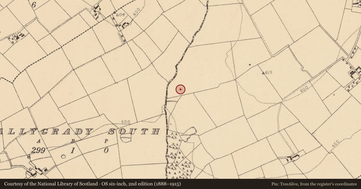 Ordnance Survey six-inch map, 2nd edition (1888–1915) covering the location of Kiln - lime, Ardaprior, County Cork, with a pin at the register's coordinates