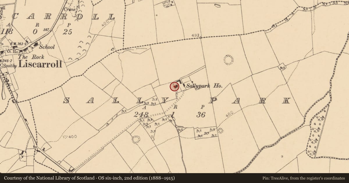 Ordnance Survey six-inch map, 2nd edition (1888–1915) covering the location of Country house, Sallypark, County Cork, with a pin at the register's coordinates