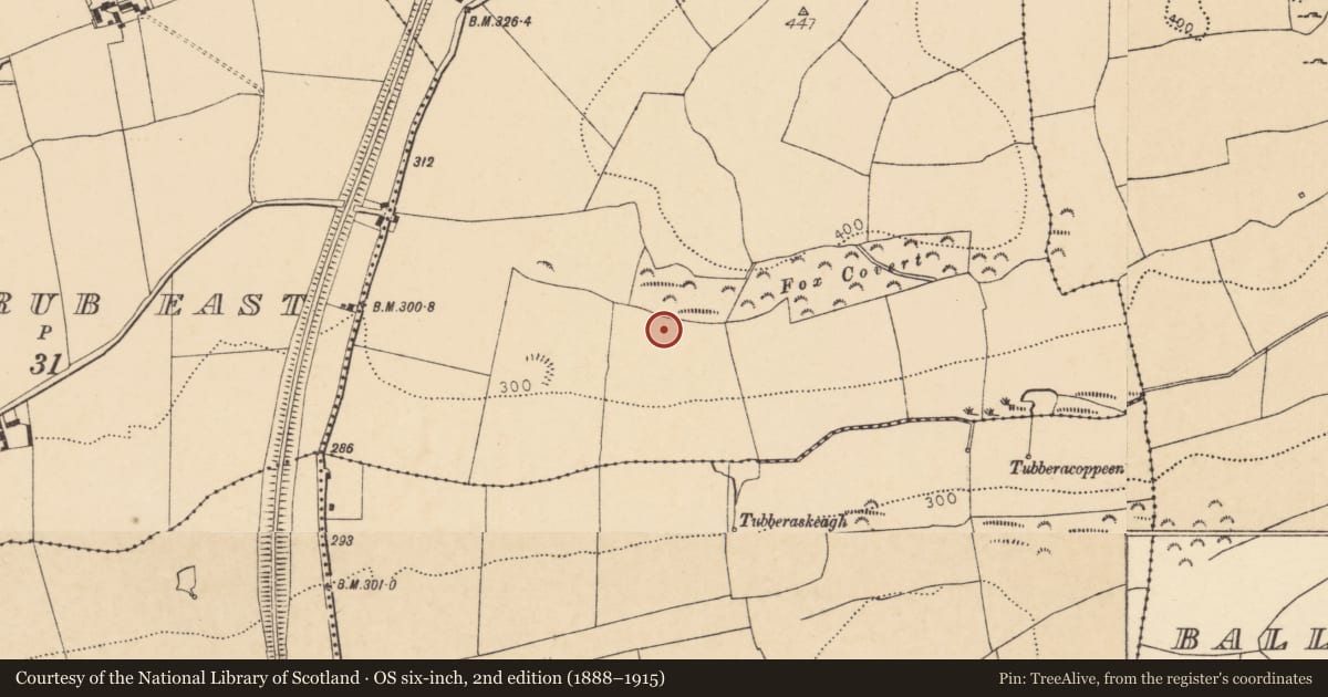 Ordnance Survey six-inch map, 2nd edition (1888–1915) covering the location of Ringfort - rath, Knockbarry (Orrery and Kilmore By., Buttevant Par.), County Cork, with a pin at the register's coordinates