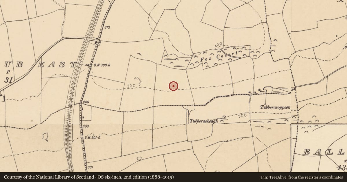 Ordnance Survey six-inch map, 2nd edition (1888–1915) covering the location of Ringfort - rath, Knockbarry (Orrery and Kilmore By., Buttevant Par.), County Cork, with a pin at the register's coordinates
