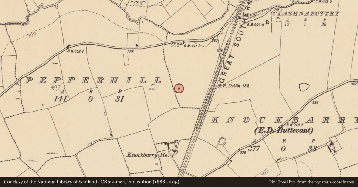 Ordnance Survey six-inch map, 2nd edition (1888–1915) covering the location of Excavation - miscellaneous, Knockbarry (Orrery and Kilmore By., Buttevant Par.), County Cork, with a pin at the register's coordinates