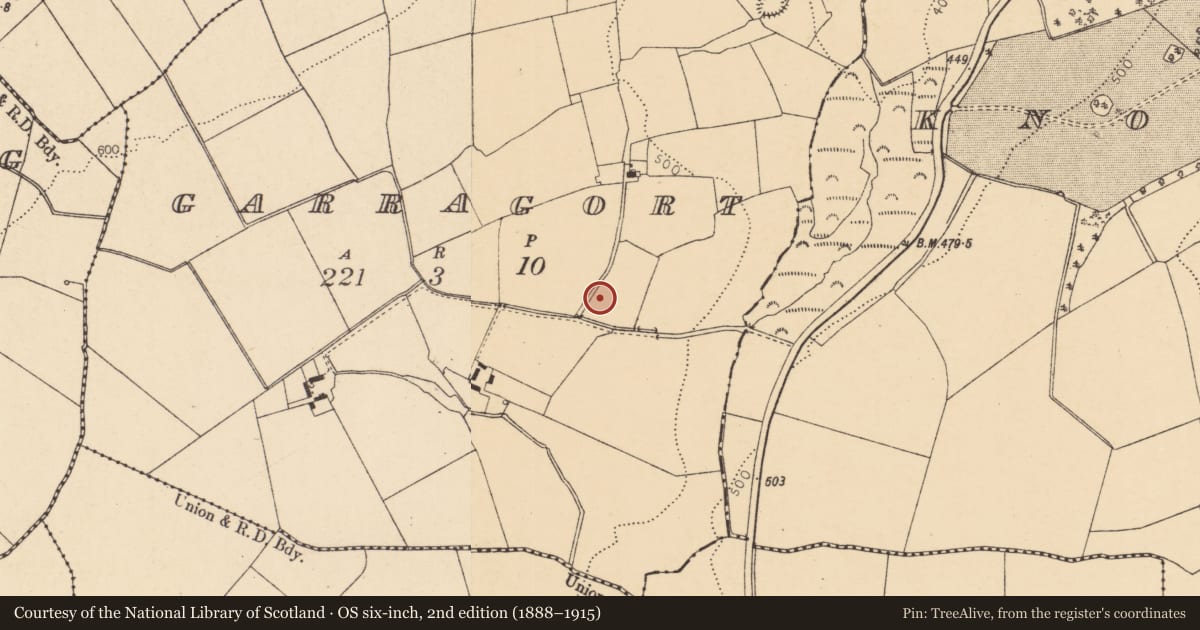 Ordnance Survey six-inch map, 2nd edition (1888–1915) covering the location of Fulacht fia, Garragort, County Cork, with a pin at the register's coordinates
