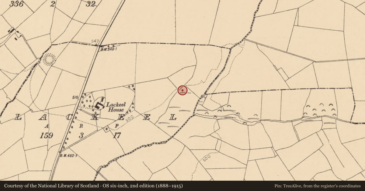 Ordnance Survey six-inch map, 2nd edition (1888–1915) covering the location of Fulacht fia, Lackeel, County Cork, with a pin at the register's coordinates